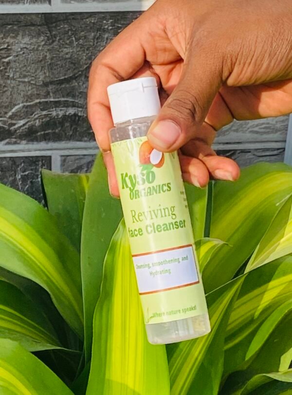Reviving Face Cleanser